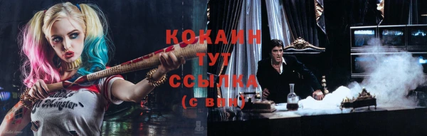 apvp Вяземский