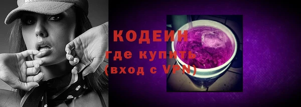 apvp Вяземский