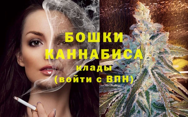 apvp Вяземский