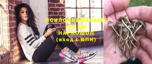 apvp Вяземский