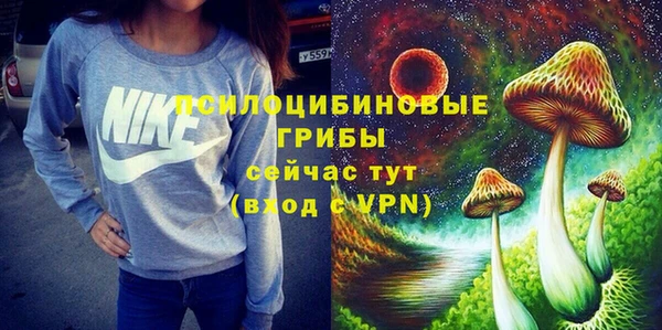 спиды Вязьма