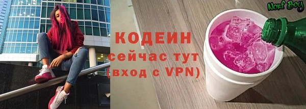 apvp Вяземский