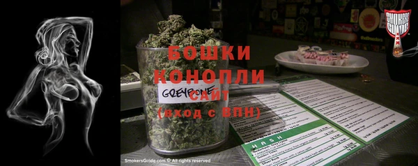 apvp Вяземский